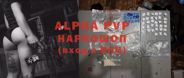 гашик Алексеевка