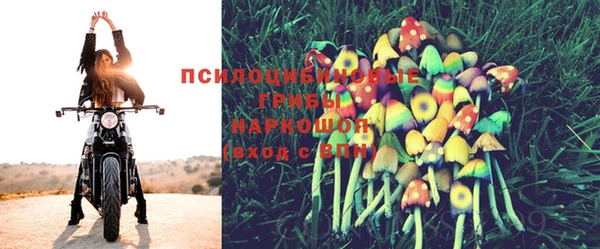 гашик Алексеевка