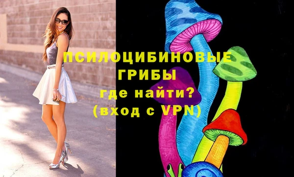 гашик Алексеевка