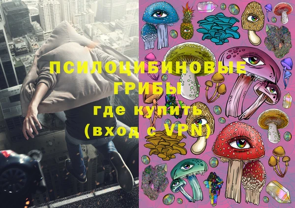 гашик Алексеевка